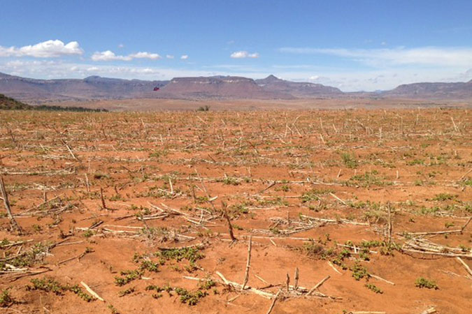 Imagen de apoyo de La FAO convoco a una reunion de alto nivel para abordar la crisis de la sequia en Centroamerica