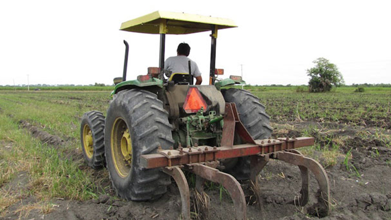 Imagen de apoyo de Se establece la cobertura y los cultivos del Plan de Gestion de Riesgos Agropecuarios para la vigencia 2016