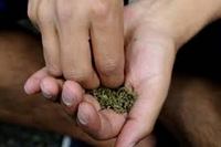 Imagen de apoyo de  Los drogadictos son enfermos no delincuentes Corte Suprema