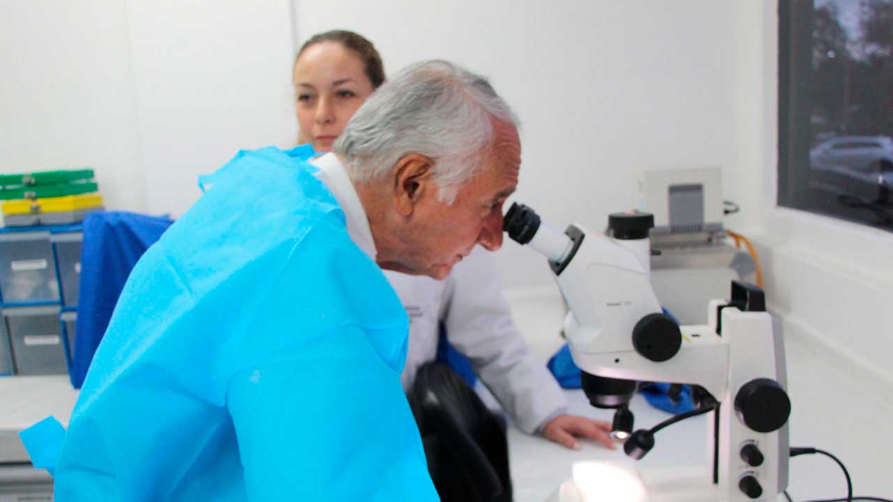 Imagen de apoyo de  MinSalud exhorta a vacacionistas de mitad de ao a vacunarse contra la fiebre amarilla