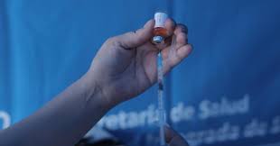 Imagen de apoyo de  Bogota no es endemica a fiebre amarilla pero se vacuna para proteger poblacion