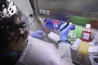 Imagen de apoyo de MinSalud actua de manera coordinada con la OMS de cara al Ebola