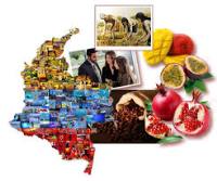 Imagen de apoyo de  Instrucciones a los representantes de la nacion y sus entidades para la estimacion de utilidades de las EICE y las SEM del orden nacional con corte a 31 de diciembre de 2013