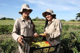 Imagen de apoyo de  Comision Quinta aprueba proyectos sobre cuidado del medio ambiente y el fortalecimiento en la reactivacion economica del campo colombiano