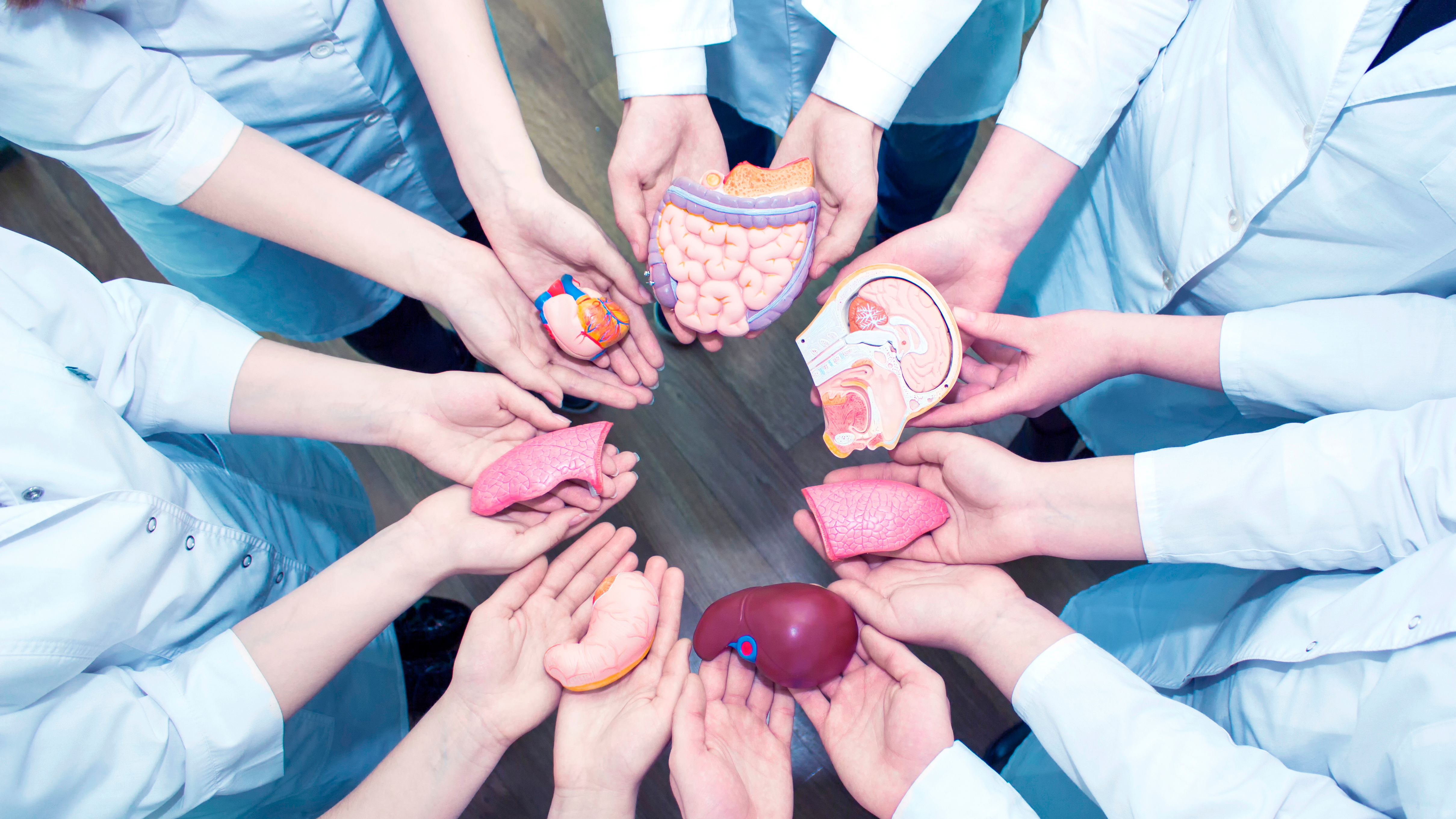 Imagen de apoyo de  Minsalud conmemoro el Dia Mundial del Donante de Organos y Tejidos