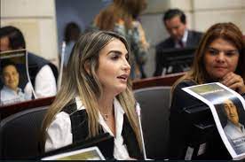 Imagen de apoyo de  Pasa a segundo debate el proyecto que definen las profesiones que no podra ejercer una persona que se encuentra condenada por abusos sexuales contra nios nias y adolescentes