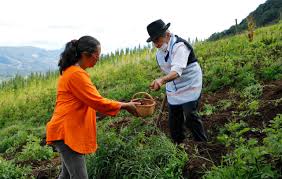 Imagen de apoyo de  Se avanza con la discusion de la jurisdiccion agraria y rural con la aprobacion de 75 articulos