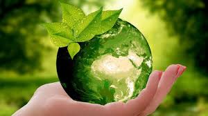 Imagen de apoyo de  La hora de la Naturaleza