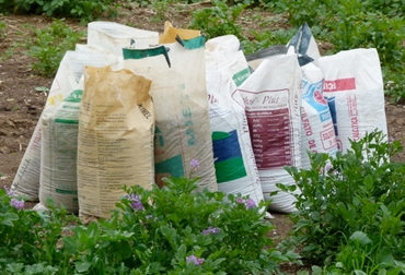 Imagen de apoyo de  Ley de Insumos Agropecuarios que apoya a pequeos y medianos productores
