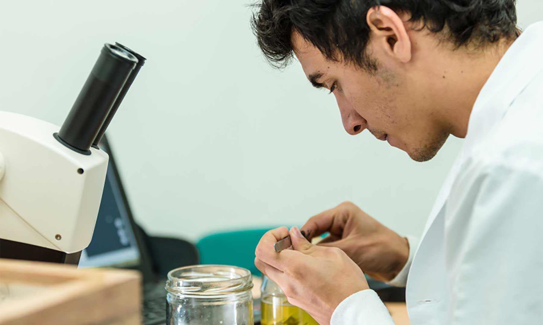 Imagen de apoyo de  Los 32 proyectos de innovacion frente al covid19 seleccionados en Mincienciaton presentan avances