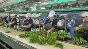 Imagen de apoyo de  Se implementaran nuevas medidas para la reactivacion del tejido empresarial del pais