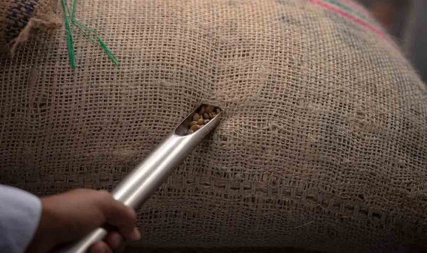 Imagen de apoyo de  Exportaciones de bienes no mineros de Huila crecieron 829  en primer trimestre