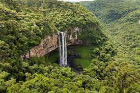 Imagen de apoyo de  Fue instalado el panel de expertos en cumplimiento a la sentencia de la Corte Suprema de Justicia que ordeno la proteccion de la Amazonia