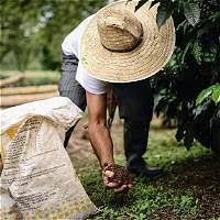 Imagen de apoyo de  Proyecto para aliviar deudas de campesinos con entidades financieras