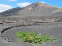 Imagen de apoyo de  Se aaden nueve nuevos sitios a la Red Mundial de Geoparques