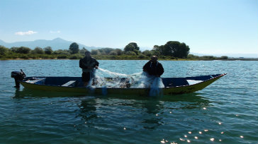 Imagen de apoyo de  Empleos verdes en Albania Tenemos que aprender de los errores del pasado
