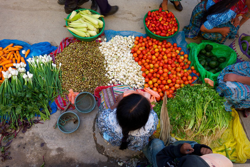 Imagen de apoyo de  America Latina crea red regional de abastecimiento y comercializacion de alimentos