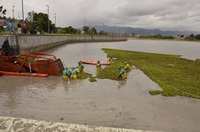 Imagen de apoyo de  Acueducto de Bogota recuperara  hectareas del Humedal Juan Amarillo