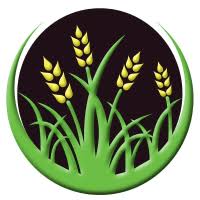 Imagen de apoyo de  Vamos a dialogar para buscar soluciones reales y viables con todos los sectores del agro MinAgricultura en reunion con arroceros del Meta