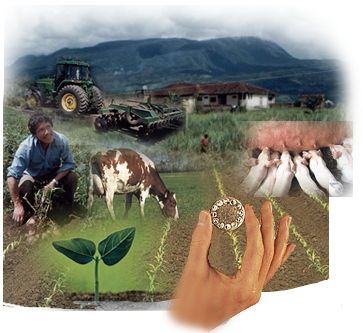 Imagen de apoyo de  Se aprueba una reforma de los Estatutos del Fondo para el Financiamiento del Sector Agropecuario  FINAGRO