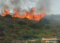 Imagen de apoyo de  Se armoniza la Comision Distrital para la Prevencion y Mitigacion de Incendios Forestales con los requerimientos de las Leyes 1523 y 1575 de 2012