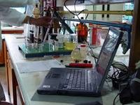 Imagen de apoyo de  Se dio inicio a la Segunda Version de la Escuela Internacional de Verano