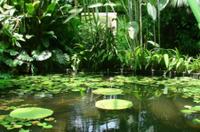 Imagen de apoyo de Abierta licitacion para la construccion del nuevo Tropicario del Jardin Botanico de Bogota