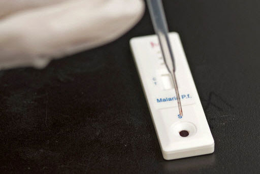 Imagen de apoyo de  La OPS destaca los avances de Brasil Honduras y Paraguay en la eliminacion de la malaria