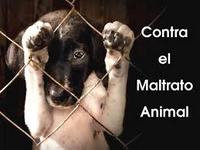 Imagen de apoyo de  Presidente Santos sanciona Ley contra Maltrato Animal