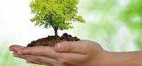 Imagen de apoyo de  Solicitan incluir tema ambiental en negociaciones de paz