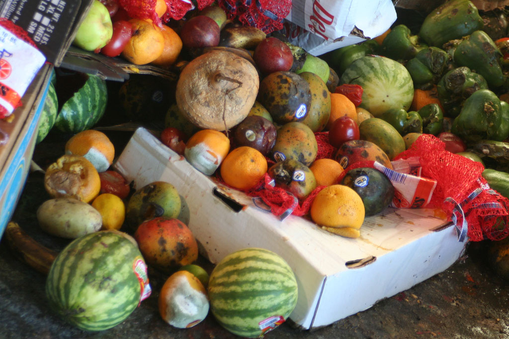 Imagen de apoyo de  Con los alimentos que se desperdician en America Latina se podria alimentar a 300 millones de personas