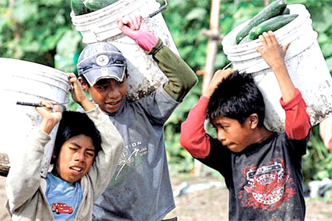 Imagen de apoyo de  Construir una alianza mundial contra el trabajo infantil y el trabajo forzoso
