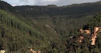 Imagen de apoyo de  Se realizara la plantacion mas grande del ao para recuperar los Cerros Orientales