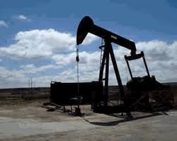 Imagen de apoyo de  Facultad reglamentaria de la industria del petroleo