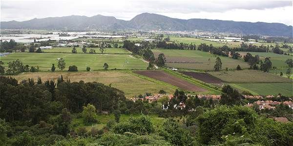 Imagen de apoyo de  Debate sobre la Reserva Forestal Thomas van der Hammen Enrique Pealoza