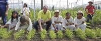 Imagen de apoyo de  MinAgricultura entrego invernaderos a comunidades indigenas de la Sierra Nevada de Santa Marta