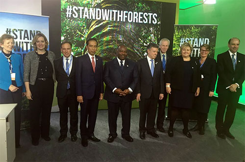 Imagen de apoyo de  Colombia Alemania Noruega y el Reino Unido anuncian alianza sin precedentes para proteger los bosques de Colombia