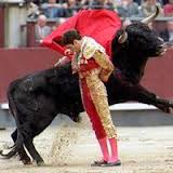 Imagen de apoyo de  Corte da dos aos al Congreso para legislar sobre las corridas de toros
