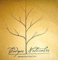 Imagen de apoyo de  Exposicion colectiva Codigos Naturales en la Comision Nacional Cubana para la UNESCO