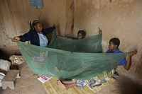 Imagen de apoyo de  Informe de OMSUNICEF Alcanzada la meta sobre malaria de los ODM con una fuerte caida de los casos y la mortalidad aunque 3000 millones de personas siguen en riesgo