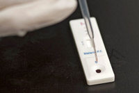 Imagen de apoyo de  Primera vacuna contra la malaria recibe luz verde de los reguladores europeos