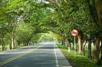 Imagen de apoyo de  Recomendaciones de MinComercio para los viajeros en este puente festivo de la Asuncion de la Virgen Maria