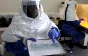 Imagen de apoyo de  La OMS decreto emergencia publica mundial por brote del virus ebola