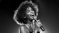 Imagen de apoyo de  Superindustria concede el registro de la marca WHITNEY HOUSTON