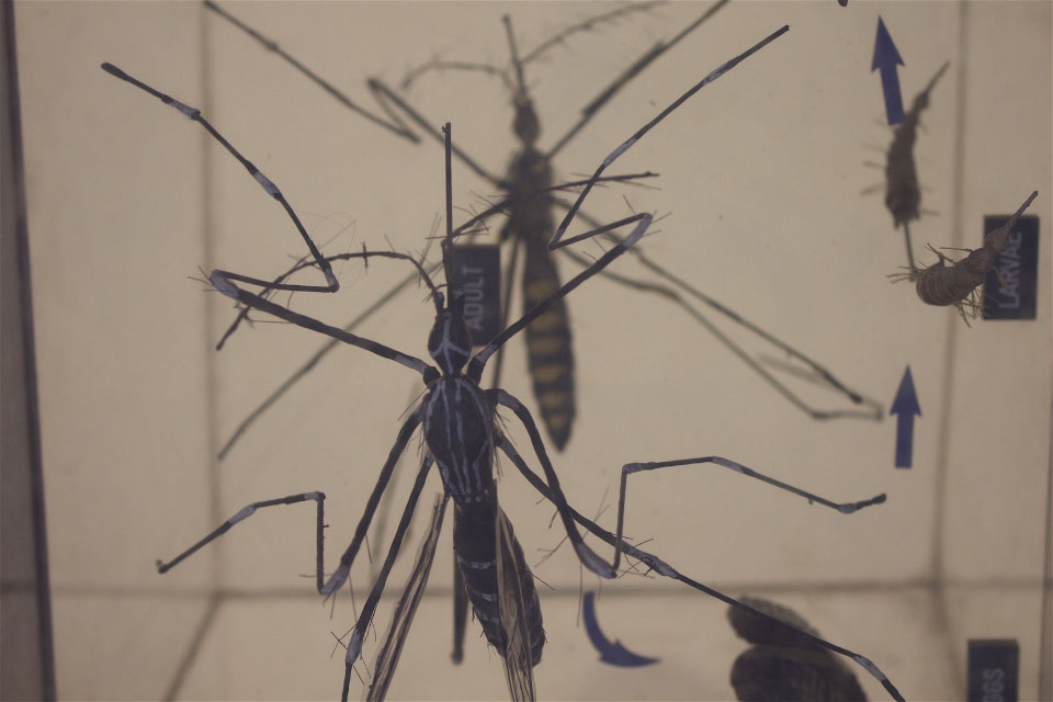 Imagen de apoyo de  Equipo de expertos de la OPS asiste a Colombia en la respuesta al Zika